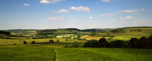 chesham
